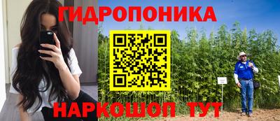 молекула духа Берёзовский