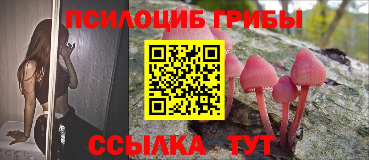 Псилоцибиновые грибы Magic Shrooms  Галлюциногенные грибы Cubensis  Вичуга  Вход с VPN 